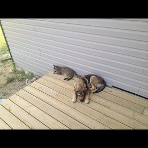 Meet your Posher, Lindsey